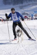 Lenk 2013